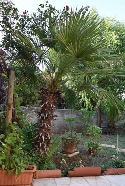 Apartament Apartman Kristina Split Zewnętrze zdjęcie