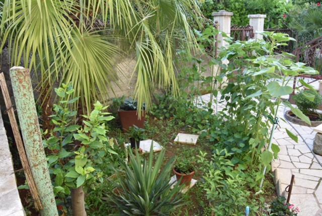 Apartament Apartman Kristina Split Zewnętrze zdjęcie